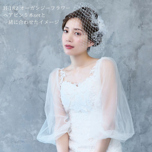 バードケージベール VBC-01|結婚式 ウエディング 網 白 黒