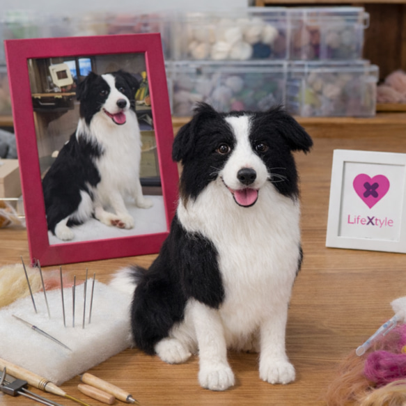羊毛フェルト　リロママ様確認用　ボーダーコリー　ハンドメイド　犬　オーダー ボーダーコリー 羊毛フェルト｜愛犬 オーダーメイド 羊毛フェルト