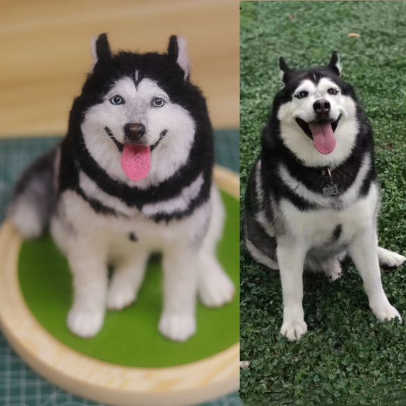 【オーダーメイドペット】羊毛フェルト、うちの子　犬ぬいぐるみ、フェルト犬、羊毛犬、肖像画、犬猫人形 プレゼントやギフトに 100% 模様