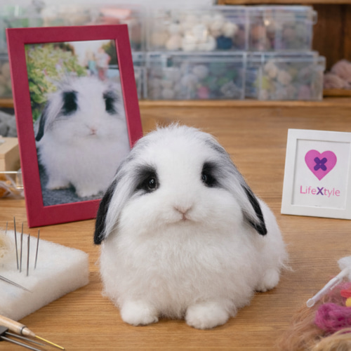 羊毛フェルト そっくり ウサギ オーダーメイド｜写真から作る ペット
