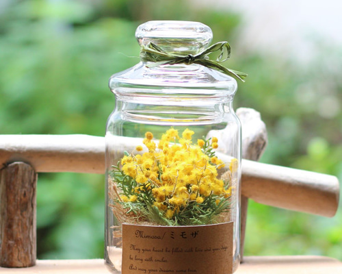 f6f2234f4cd3489251158bc41e3db4