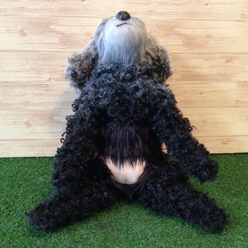 L様愛犬ちゃんオーダーメイド品(トイプードル×チャイニーズ