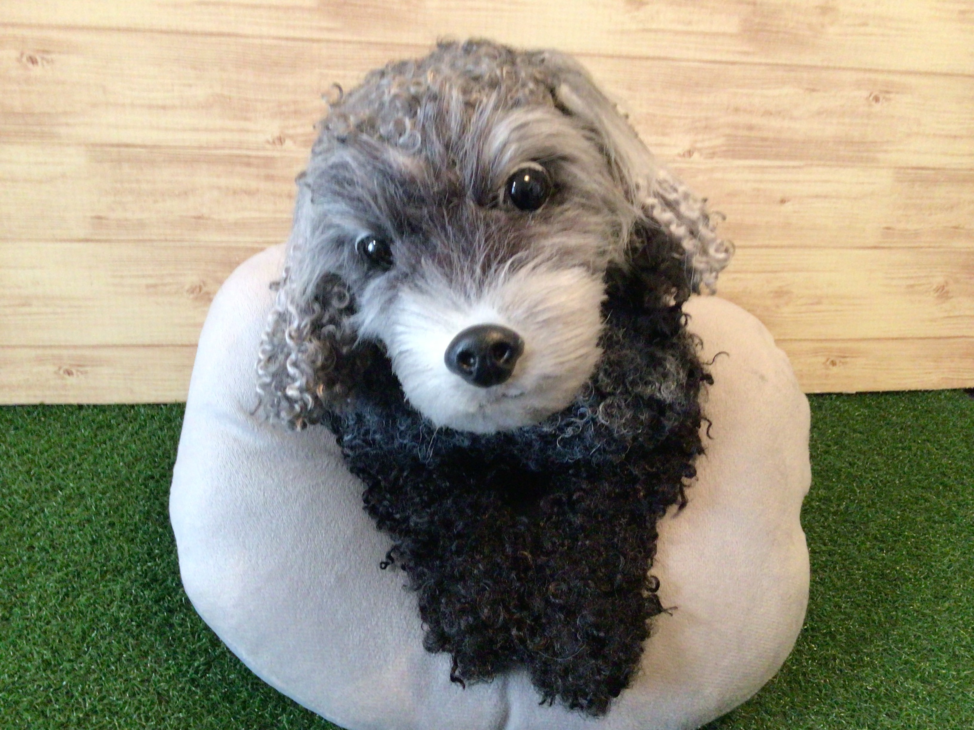 L様愛犬ちゃんオーダーメイド品(トイプードル×チャイニーズ