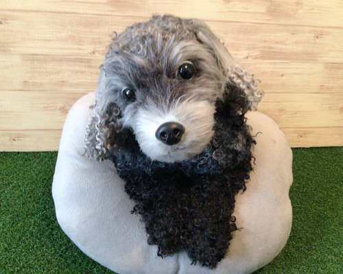 L様愛犬ちゃんオーダーメイド品(トイプードル×チャイニーズ