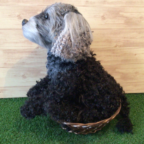 L様愛犬ちゃんオーダーメイド品(トイプードル×チャイニーズ
