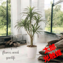 光触媒 人工観葉植物 ウォールグリーン フェイクグリーン ウッド