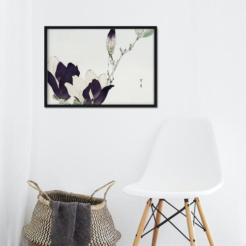 木蓮の日本画アートポスター☆モクレンの花お正月和柄和モダン玄関