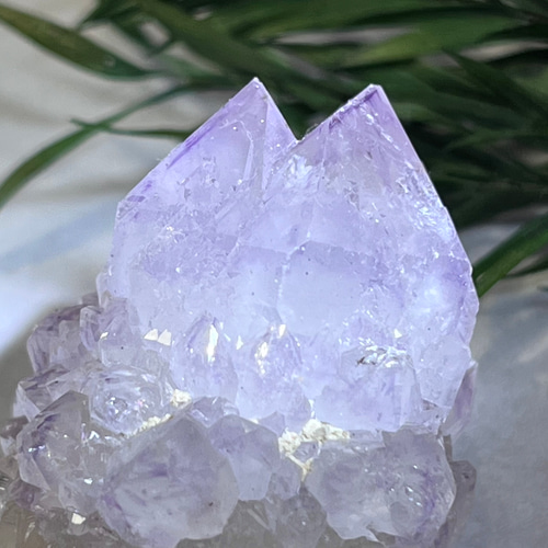 ダブルタビュラー　タントリックツイン　カクタスアメジスト　サボテン水晶　原石 Amazon.co.jp: ダブルタビュラー タントリックツイン カクタス