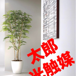 光触媒人工観葉植物ウォールグリーンフェイクグリーンツートントネリコ1.6