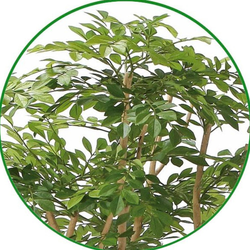 光触媒 人工観葉植物 ウォールグリーン フェイクグリーン