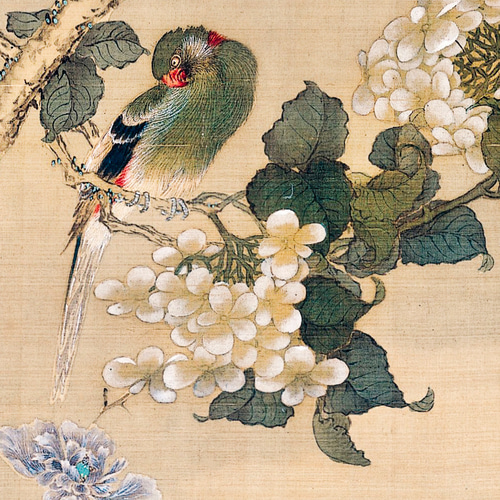 インコ　日本画　絵画 インコと紫陽花の日本画絵画アートポスター☆風景牡丹梅雨夏和室和柄