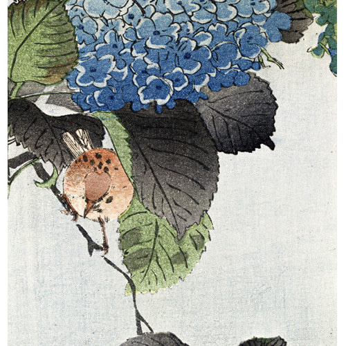 紫陽花 絵画 image-1-1747-300x300.jpg