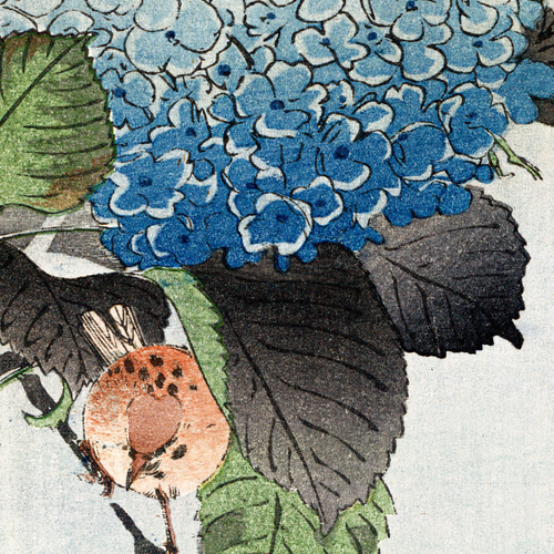 紫陽花 花 爬虫類 トカゲ ヤモリ レオパルド ワニ  原画 アート 絵画 青 Amazon.co.jp: 紫陽花 花 爬虫類 トカゲ ヤモリ レオパルド ワニ