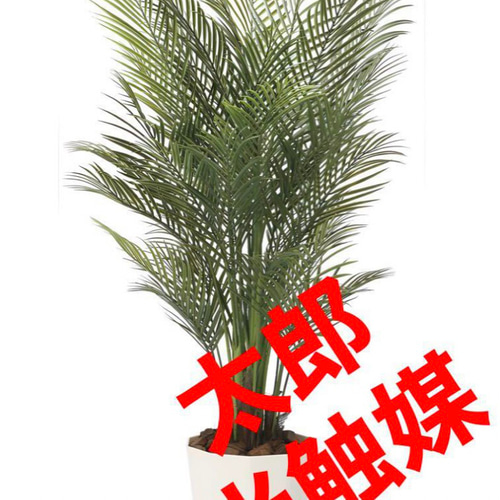 光触媒　人工観葉植物　ウォールグリーン　フェイクグリーン　アレカパーム1.7m 光触媒 人工観葉植物 ウォールグリーン フェイクグリーン