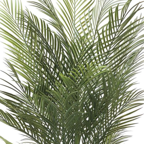 光触媒　人工観葉植物　ウォールグリーン　フェイクグリーン　アレカパーム1.7m 光触媒 人工観葉植物 ウォールグリーン フェイクグリーン