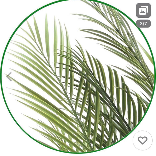 光触媒　人工観葉植物　ウォールグリーン　フェイクグリーン　アレカパーム1.7m 光触媒 人工観葉植物 ウォールグリーン フェイクグリーン