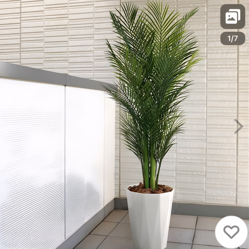 光触媒　人工観葉植物　ウォールグリーン　フェイクグリーン　アレカパーム1.7m 光触媒 人工観葉植物 ウォールグリーン フェイクグリーン