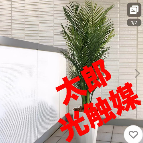光触媒　人工観葉植物　ウォールグリーン　フェイクグリーン　アレカパーム1.7m 光触媒 人工観葉植物 ウォールグリーン フェイクグリーン