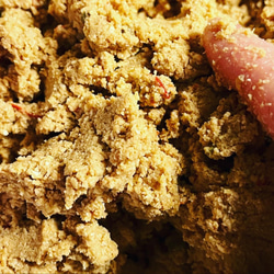 大人気！ぬか床の本場　北九州産熟成ぬか床９００g 2枚目の画像