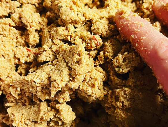 大人気！ぬか床の本場　北九州産熟成ぬか床９００g 2枚目の画像