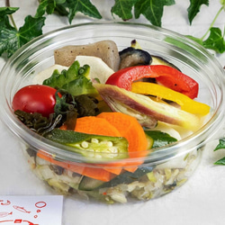 大人気！ぬか床の本場　北九州産熟成ぬか床９００g 7枚目の画像