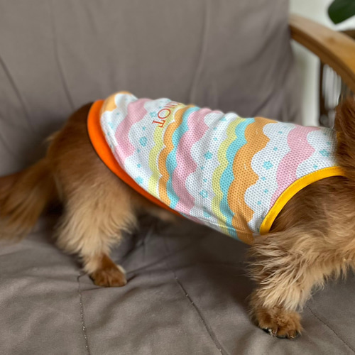 送料無料】波と貝殻の爽やかメッシュ天竺ニットキャミソール犬服