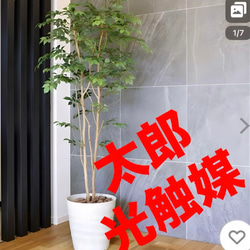 光触媒 人工観葉植物 ウォールグリーン フェイクグリーン ウッド