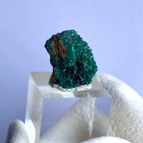 外国産鉱物標本 コンゴ産母岩付きダイオプテーズ 原石 ダイオプテーズ