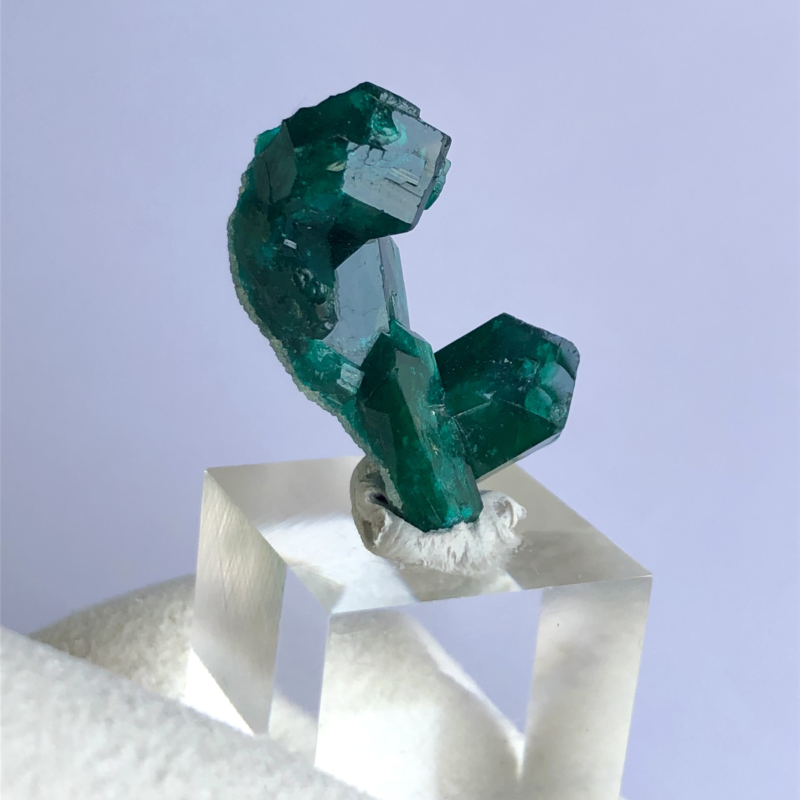 コンゴ産ダイオプテーズ 【一点物】 原石 鉱物 天然石 (No.1623)