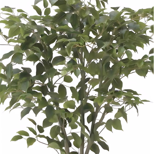 光触媒人工観葉植物ウォールグリーンフェイクグリーンフィカスツリー1.65