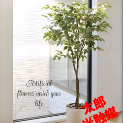 光触媒　人工観葉植物　ウォールグリーン　ゴールデンフィカスダブル1.2 光触媒 人工観葉植物 ウォールグリーン ゴールデンフィカスダブル1.2