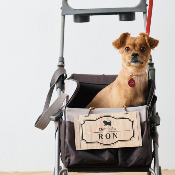 ラサアプソ_オリジナルペットシルエットカートプレート_犬グッズ_名 