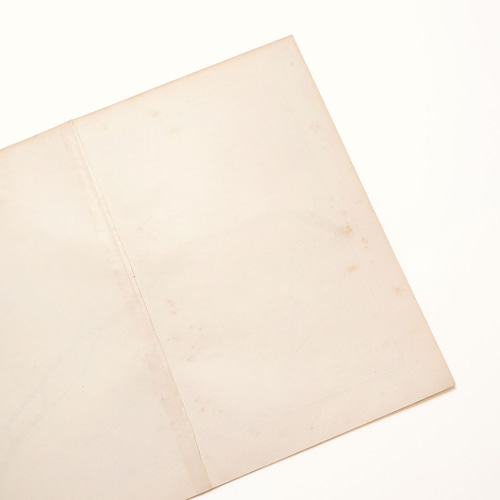 フランス パリ都心部 アンティークマップ 古地図 ヴィンテージ