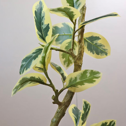 光触媒 人工観葉植物 ウォールグリーン フェイクグリーン 光触媒 人工観葉植物 ウォールグリーン フェイクグリーン