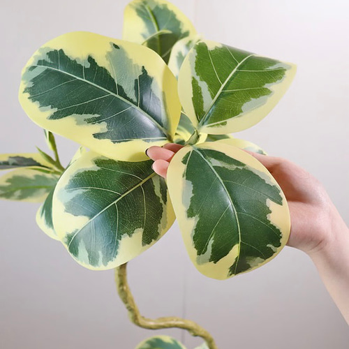 光触媒 人工観葉植物 ウォールグリーン フェイクグリーン 光触媒 人工観葉植物 ウォールグリーン フェイクグリーン