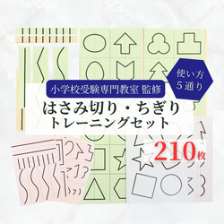SST 絵カードセット 視覚支援 療育グッズ 言語訓練 ソーシャル