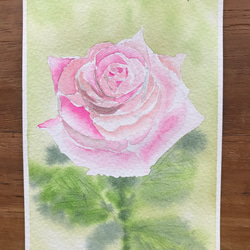 手描きイラスト✣創作水彩原画『朧桜』 水彩画 桜の描き方 Watercolor draw Cherry Blossoms【Sakura