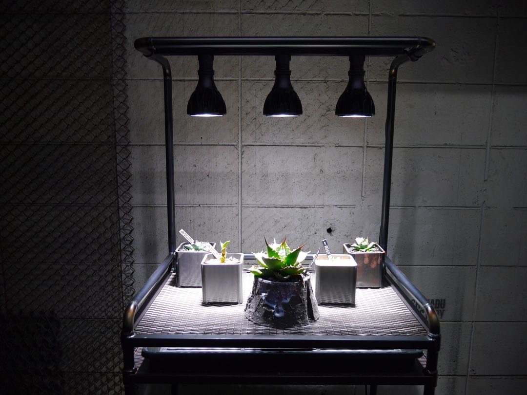 ボタニカルラック　アイアン家具　アイアンシェルフ