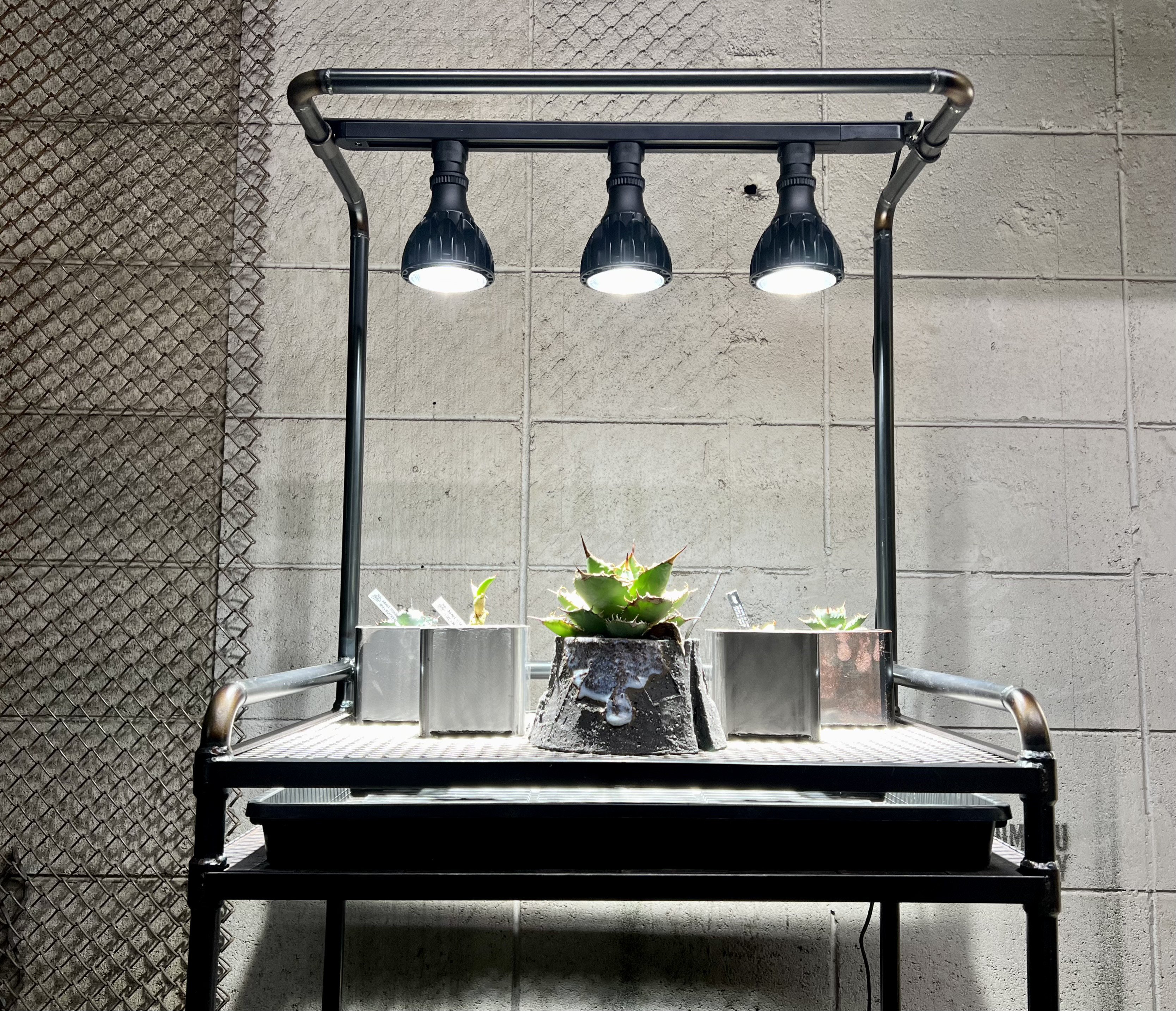 ボタニカルラック　アイアン家具　アイアンシェルフ