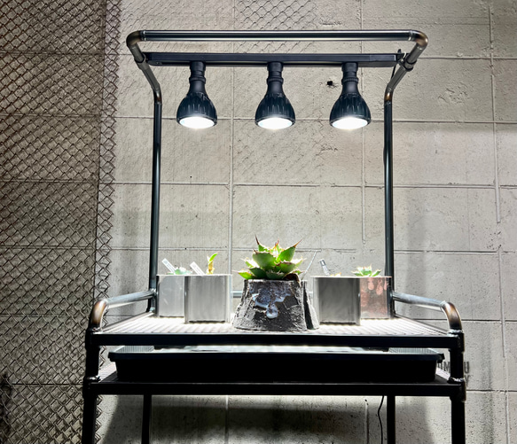 ボタニカルラック　アイアン家具　アイアンシェルフ 