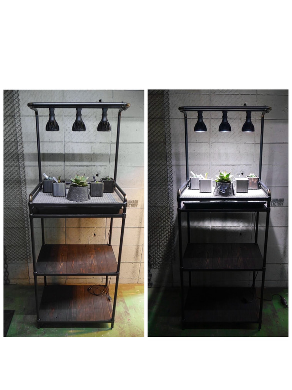 アイアンシェルフ棚 ボタニカルラック 【公式通販】