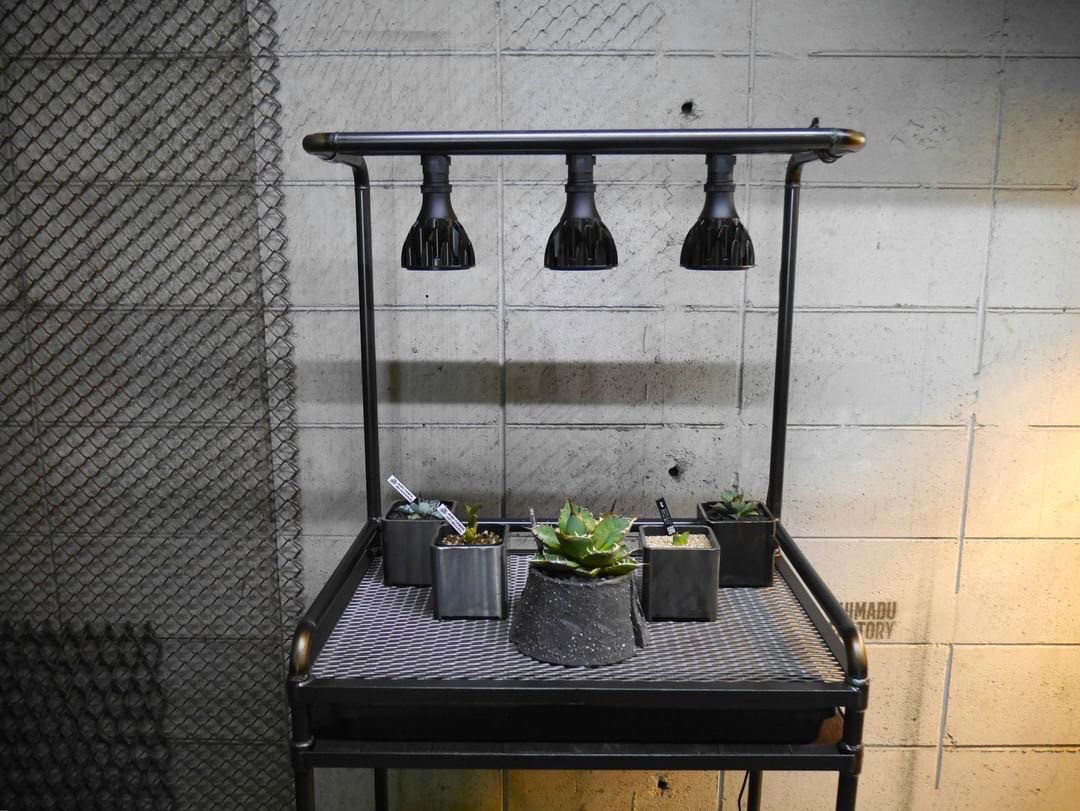 ボタニカルラック　アイアン家具　アイアンシェルフ
