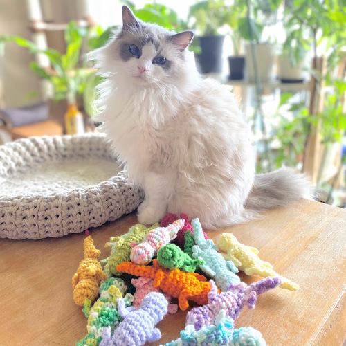 一人で遊ぶのが好きな猫さんにおススメな猫のおもちゃ トカゲさん