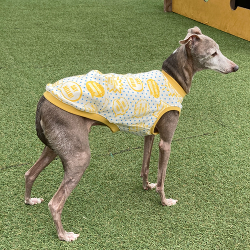 イタグレ服☆ふきだしタンクトップ/イエロー ペット服・アクセサリー