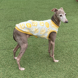 ced9ff7f3d04afc7524bbfabbe84ac