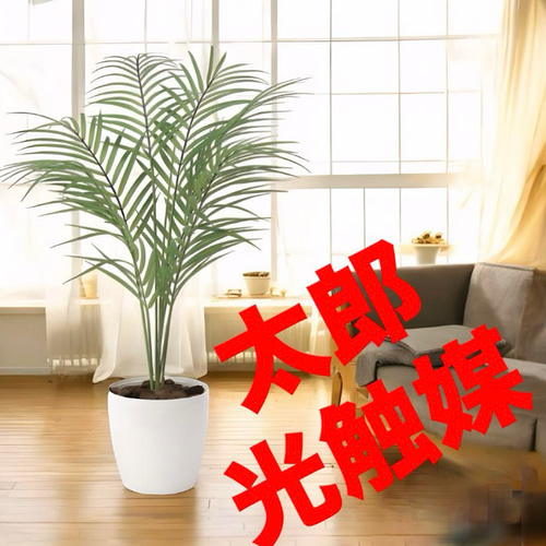 光触媒　人工観葉植物　ウォールグリーン　フェイクグリーン　パームヤシ70 光触媒 人工観葉植物 ウォールグリーン フェイクグリーン