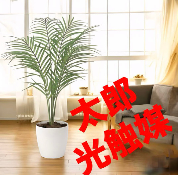 光触媒 人工観葉植物 ウォールグリーン フェイクグリーン パームヤシ70