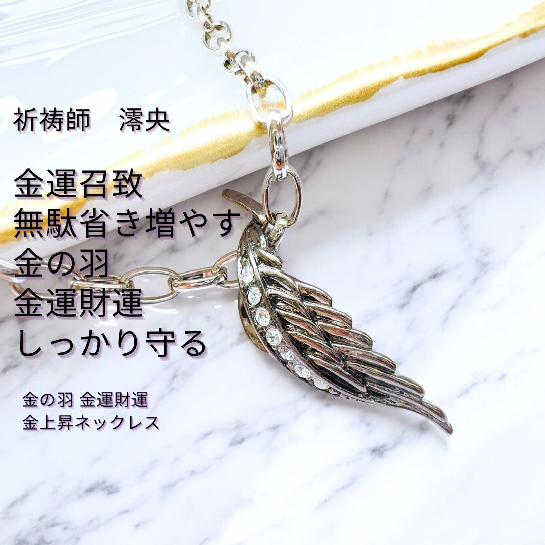 M105 漆黒の羽根が導く豊かさへの翼 チェーンネックレス 祷師澪央 龍神の祝福 男女兼用 ユニセックス wing