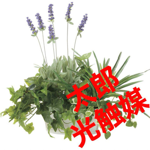 光触媒 人工観葉植物 ウォールグリーン フェイクグリーン 寄セ植エ