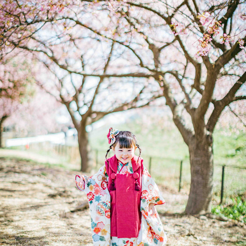 七五三 3歳被布セットレンタル 子供服 ベストクロス 通販 七五三 3歳被布セットレンタル 子供服 ベストクロス 通販